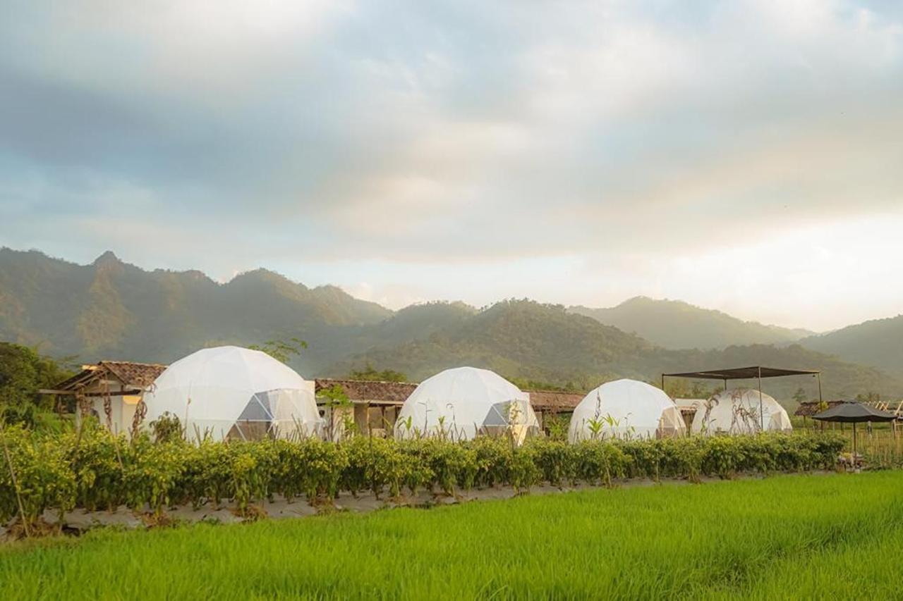 Borobudur Luxury Glamping Magelang Exterior foto