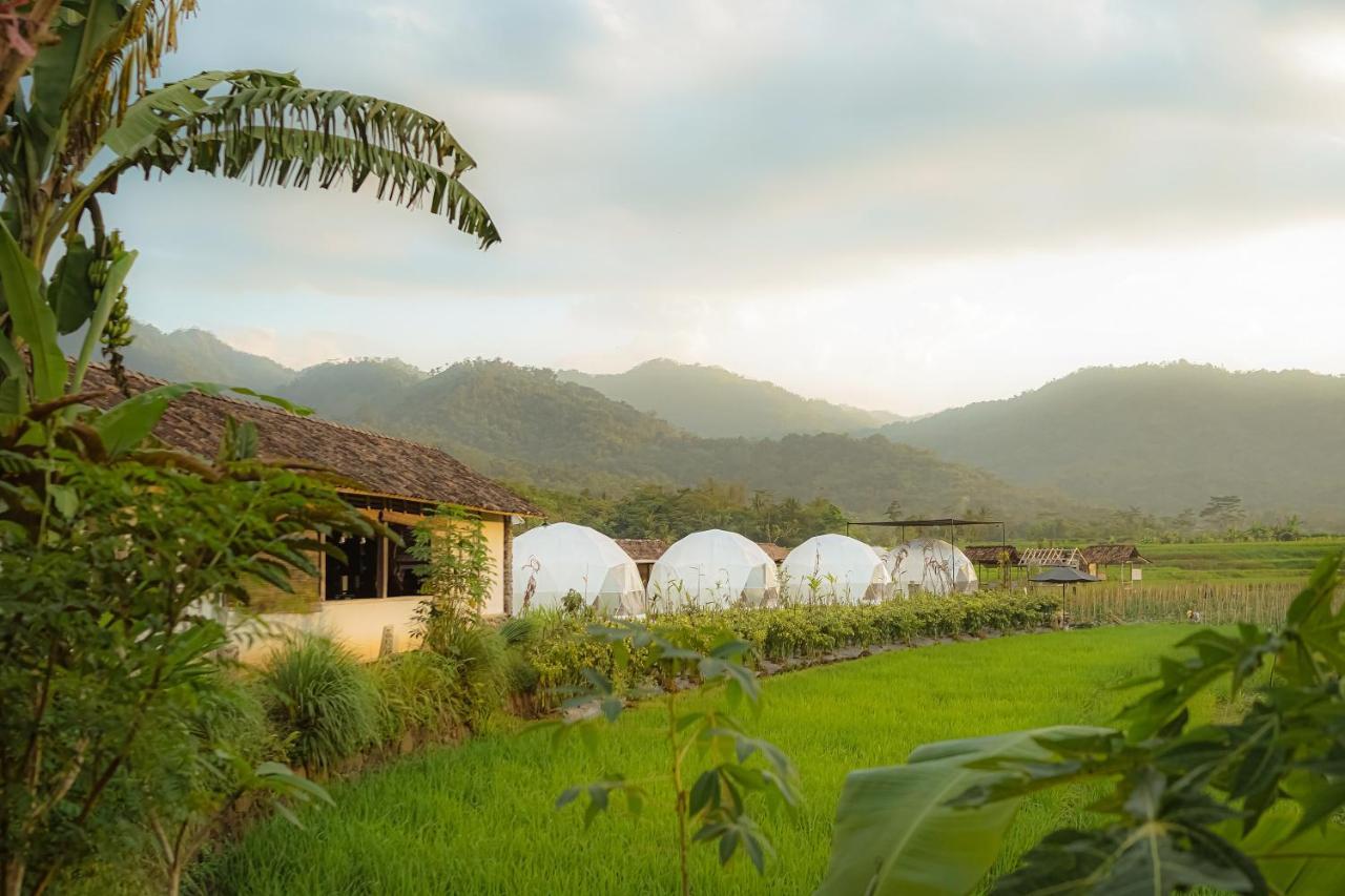 Borobudur Luxury Glamping Magelang Exterior foto